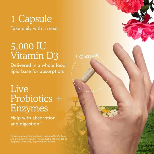 VITAMINA D3 GARDEN OF LIFE VITAMIN CODE RAW 5000 UI 60 CÁPSULAS