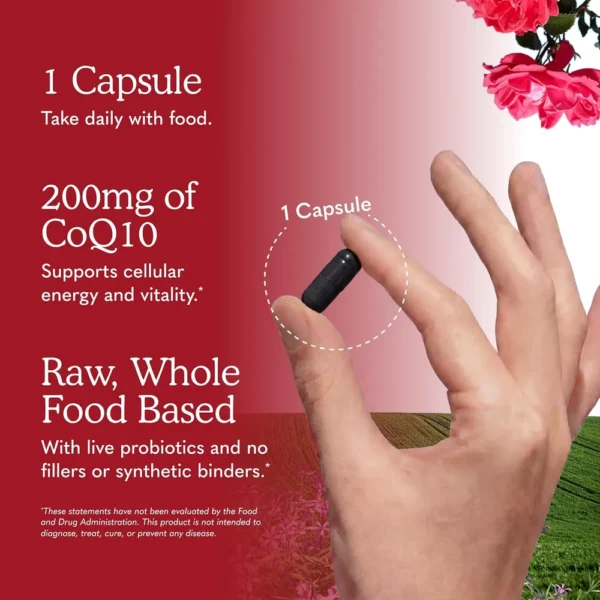 COENZIMA Q10 GARDEN OF LIFE RAW 200 MG + OMEGA 3-6-9 60 CÁPSULAS