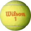 PELOTA DE TENNIS WILSON STARTER 48 UND