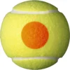PELOTA DE TENNIS WILSON STARTER 48 UND