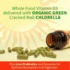 VITAMINA D3 GARDEN OF LIFE VITAMIN CODE RAW 2000 UI 120 CÁPSULAS