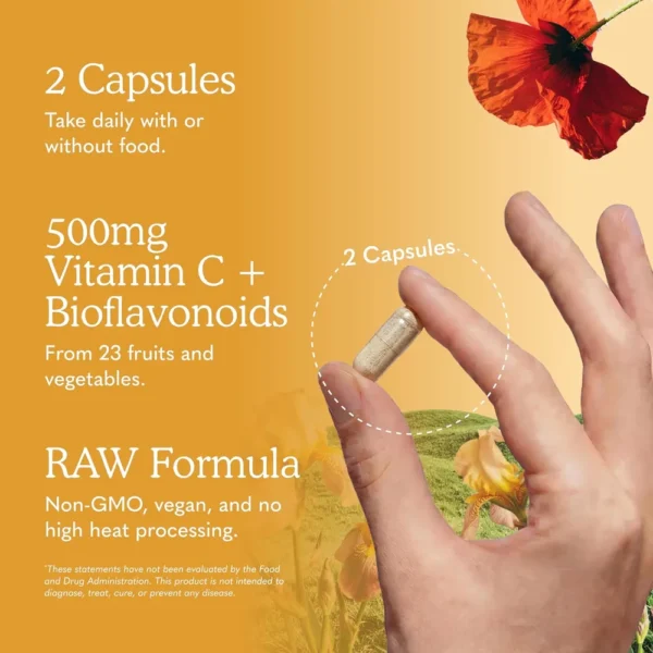 b0098u0s8c_4.webp VITAMINA C GARDEN OF LIFE VITAMIN CODE RAW 500 MG 120 CÁPSULAS