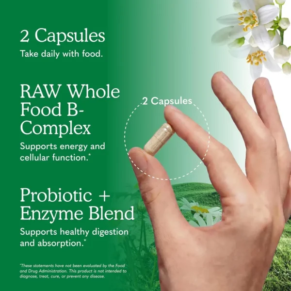 b0098u0sqo_4.webp COMPLEJO B GARDEN OF LIFE VITAMIN CODE RAW 120 CÁPSULAS