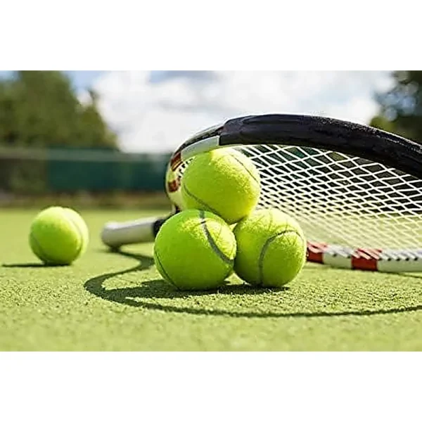 b00hxjn166_4.webp PELOTA DE TENNIS WILSON EXTRA DUTY