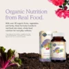 MULTIVITAMÍNICO GARDEN OF LIFE ORGANICS PRENATAL ONCE DAILY 90 TABLETAS