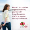 PROBIÓTICO GARDEN OF LIFE URINARY TRACT+ 50 BILLONES 16 CEPAS 60 CÁPSULAS
