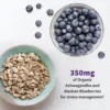 PROBIÓTICO GARDEN OF LIFE MOOD+ 50 BILLONES 16 CEPAS 60 CÁPSULAS
