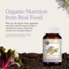 MULTIVITAMÍNICO GARDEN OF LIFE ORGANICS PRENATAL ONCE DAILY 30 TABLETAS