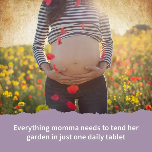 MULTIVITAMÍNICO GARDEN OF LIFE ORGANICS PRENATAL ONCE DAILY 90 TABLETAS