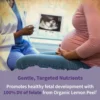 MULTIVITAMÍNICO GARDEN OF LIFE ORGANICS PRENATAL ONCE DAILY 90 TABLETAS