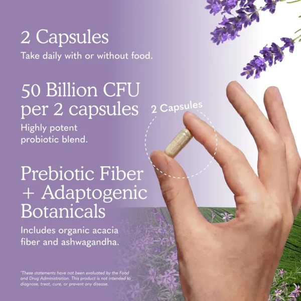 b01lvyjk6u_4.webp PROBIÓTICO GARDEN OF LIFE MOOD+ SHELF STABLE 50 BILLONES 16 CEPAS 60 CÁPSULAS
