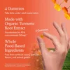CÚRCUMA GARDEN OF LIFE ORGANICS CURCUMINA 50 MG 120 GOMITAS