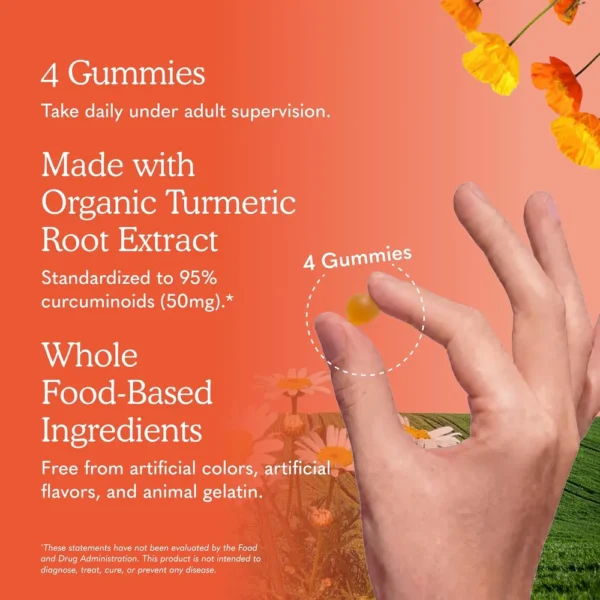 CÚRCUMA GARDEN OF LIFE ORGANICS CURCUMINA 50 MG 120 GOMITAS