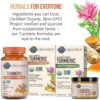 CÚRCUMA GARDEN OF LIFE ORGANICS CURCUMINA 500 MG 30 TABLETAS