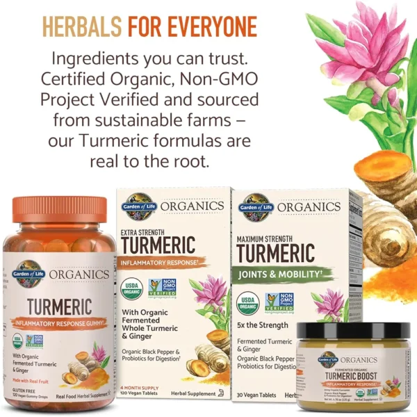 CÚRCUMA GARDEN OF LIFE ORGANICS CURCUMINA 500 MG 30 TABLETAS