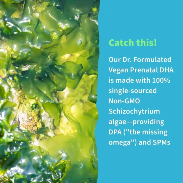 OMEGA 3 DHA VEGANO GARDEN OF LIFE DR. FORMULATED PRENATAL 400 MG + DPA 90 MG 30 CÁPSULAS