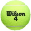 PELOTA DE TENNIS WILSON ROLAND GARROS CLAY 3 UND