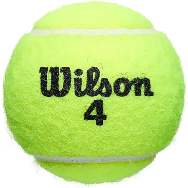 PELOTA DE TENNIS WILSON ROLAND GARROS CLAY 3 UND