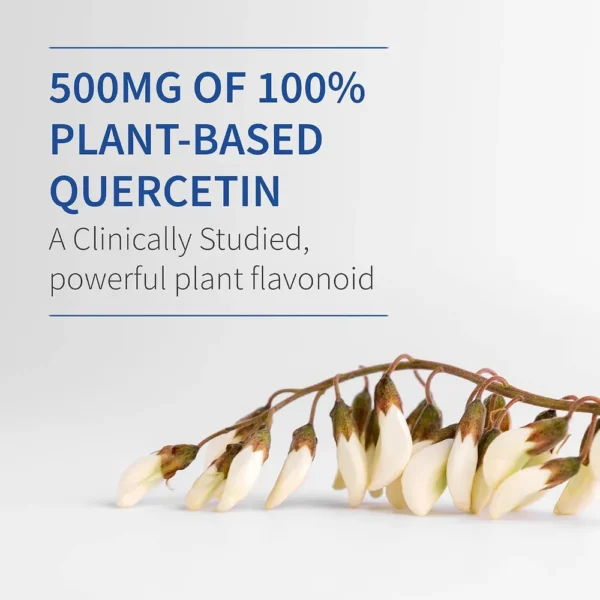 QUERCETINA GARDEN OF LIFE DR. FORMULATED RECOVERY 500 MG + ZINC 11 MG 30 TABLETAS