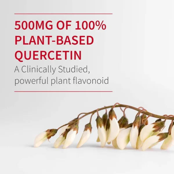 QUERCETINA GARDEN OF LIFE 500 MG + VITAMINA C 500 MG + LUTEOLINA 50 MG 60 TABLETAS