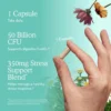 PROBIÓTICO GARDEN OF LIFE CALM 50 BILLONES 14 CEPAS + ASHWAGANDHA 300 MG 30 CÁPSULAS
