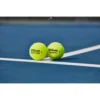 PELOTA DE TENNIS WILSON TRINITI PRO 3 UND