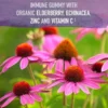 ELDERBERRY + MULTIVITAMÍNICO KIDS GARDEN OF LIFE ORGANICS 120 GOMITAS C/U | SET 2