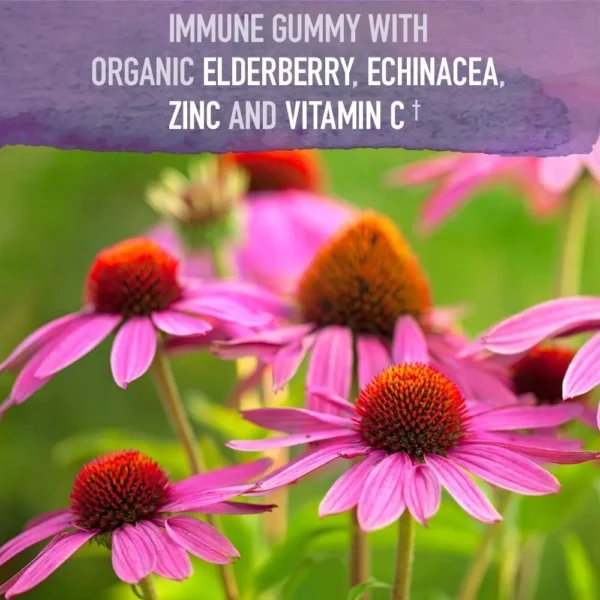ELDERBERRY + MULTIVITAMÍNICO KIDS GARDEN OF LIFE ORGANICS 120 GOMITAS C/U | SET 2