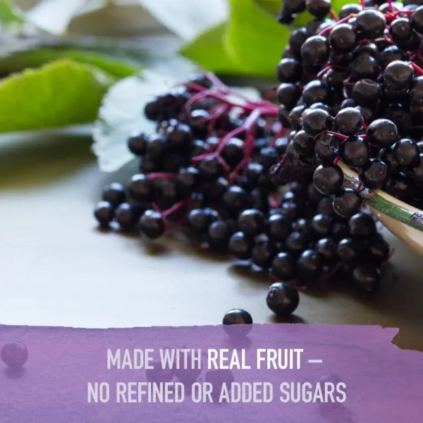 ELDERBERRY + MULTIVITAMÍNICO KIDS GARDEN OF LIFE ORGANICS 120 GOMITAS C/U | SET 2