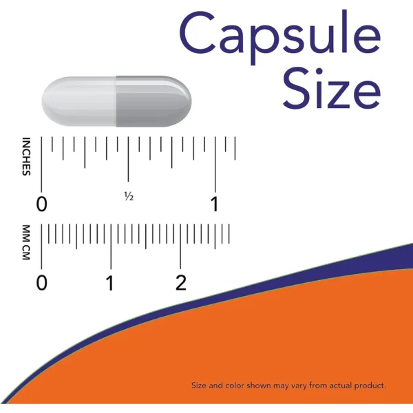b0d47vs8yl_4.webp 5-HTP NOW FOODS 100 MG 240 CÁPSULAS