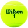 PELOTA DE TENNIS WILSON US OPEN YOUTH 9 UND