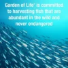 MULTIVITAMÍNICO GARDEN OF LIFE RAW ONE MEN 75 CÁPSULAS + OMEGA 3 OCEANS 3 60 CÁPSULAS | SET 2