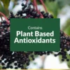 SAÚCO SAMBUCUS NATURE'S BOUNTY 630 MG 120 CÁPSULAS BLANDAS | PACK 2