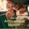 VITAMINA E NATURE'S BOUNTY 1000 UI 60 CÁPSULAS BLANDAS | PACK 3