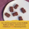 MULTIVITAMÍNICO GARDEN OF LIFE ORGANICS KIDS MULTI FRUTAS 120 GOMITAS | PACK 2