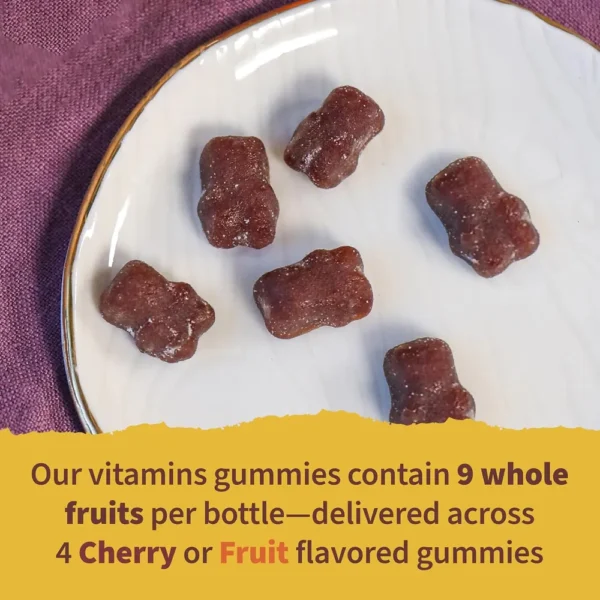 MULTIVITAMÍNICO GARDEN OF LIFE ORGANICS KIDS MULTI FRUTAS 120 GOMITAS | PACK 2
