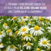 b0ghcr27ky_3.webp SLEEP WELL GARDEN OF LIFE ORGANICS 30 TABLETAS | PACK 2
