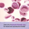 MULTIVITAMÍNICO GARDEN OF LIFE VITAMIN CODE RAW PRENATAL 180 CÁPSULAS | PACK 2