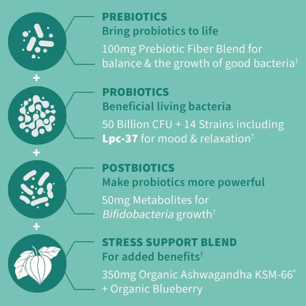 PROBIÓTICO GARDEN OF LIFE DR. FORMULATED CALM 50 BILLONES 30 CÁPSULAS | PACK 2