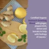 b0ghd4s3ys_3.webp MULTIVITAMÍNICO GARDEN OF LIFE ORGANICS PRENATAL MULTI 180 TABLETAS | PACK 2