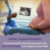 b0ghd4s3ys_4.webp MULTIVITAMÍNICO GARDEN OF LIFE ORGANICS PRENATAL MULTI 180 TABLETAS | PACK 2