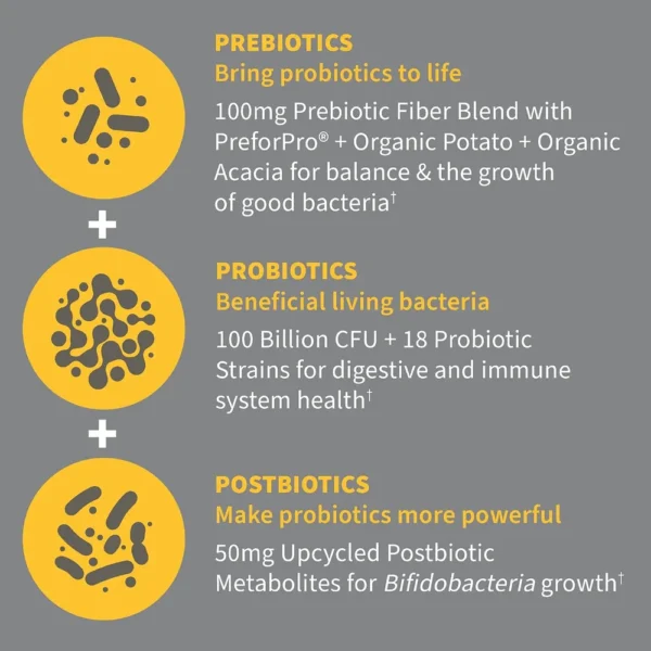PROBIÓTICO GARDEN OF LIFE DR. FORMULATED 100 BILLONES 18 CEPAS 30 CÁPSULAS | PACK 2