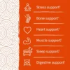 b0grl6pgf3_1.webp MAGNESIO GARDEN OF LIFE DR. FORMULATED 400 MG NARANJA CREMA 60 GOMITAS | PACK 6