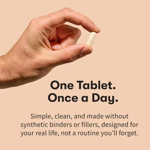 MULTIVITAMÍNICO GARDEN OF LIFE ORGANICS MEN'S ONCE DAILY 60 TABLETAS | PACK 6