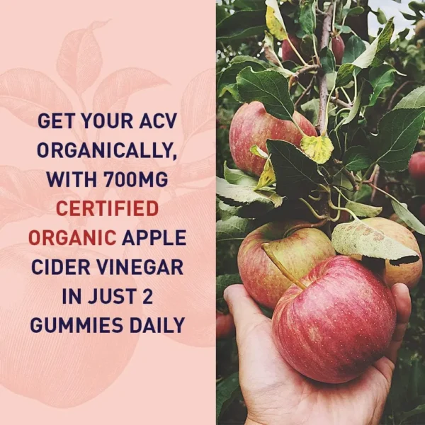VINAGRE DE MANZANA GARDEN OF LIFE ORGANICS + PROBIÓTICOS 2 BILLONES 60 GOMITAS | PACK 6