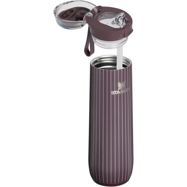 Stanley Flowstate Spring Bottle 591 ml Fig Pinstripe